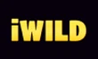 iWildcasino kasyno logo